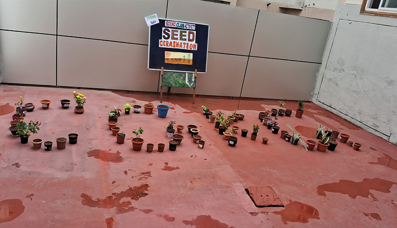 Theme Day Activity: Seed Ceremony